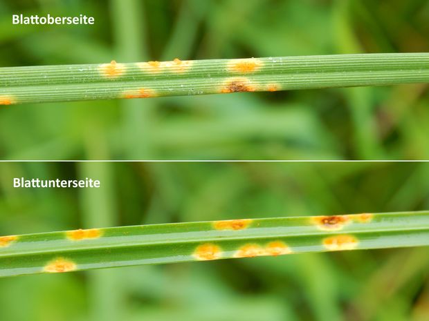 [1758108837147288_7.jpg]