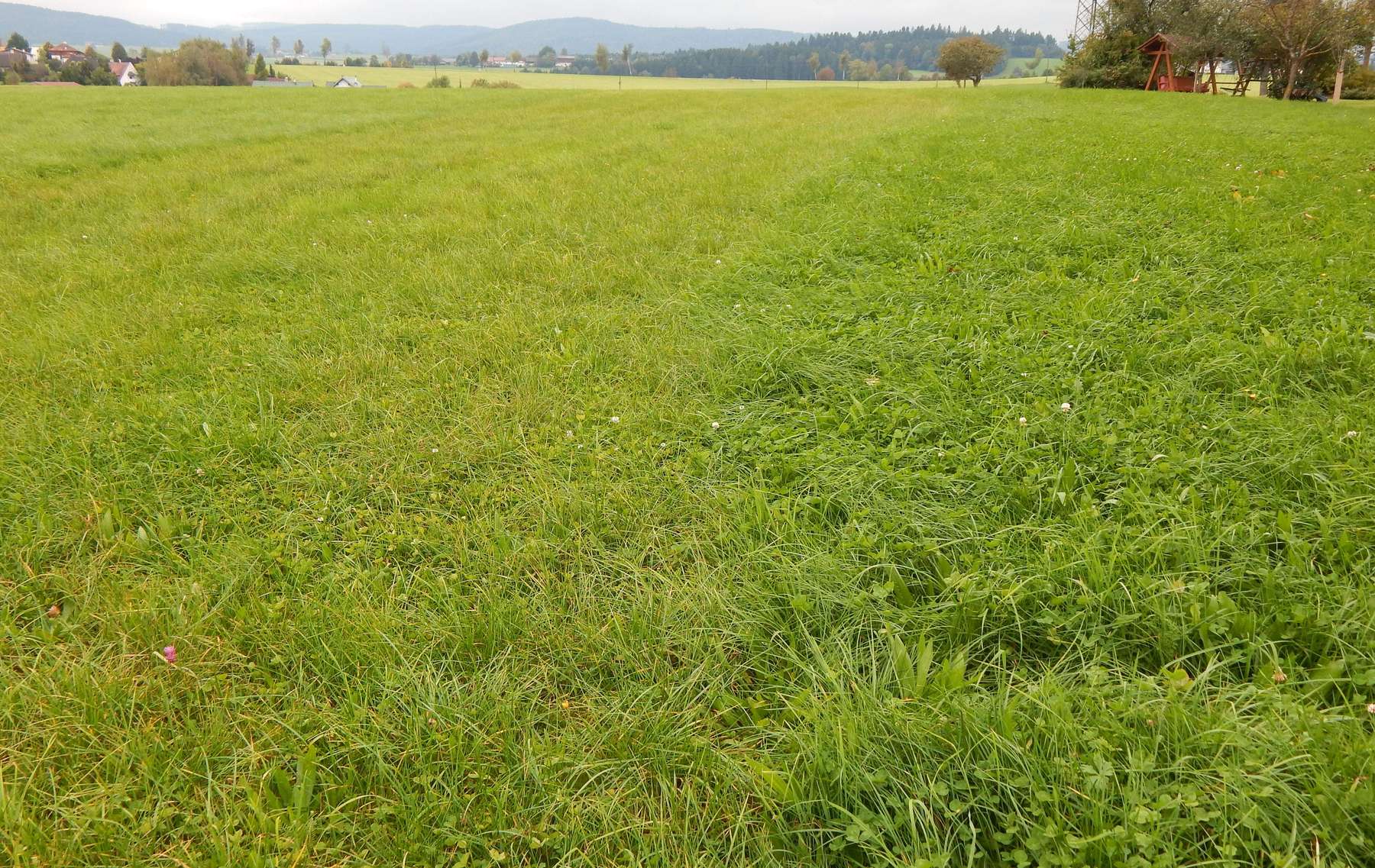 Grünland Bodennahe Ausbringung.jpg © LK OÖ/Fritscher