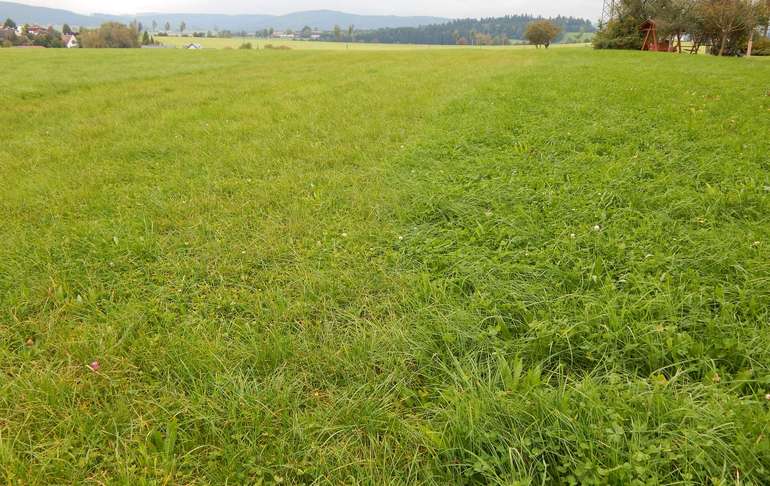 Grünland Bodennahe Ausbringung.jpg © LK OÖ/Fritscher