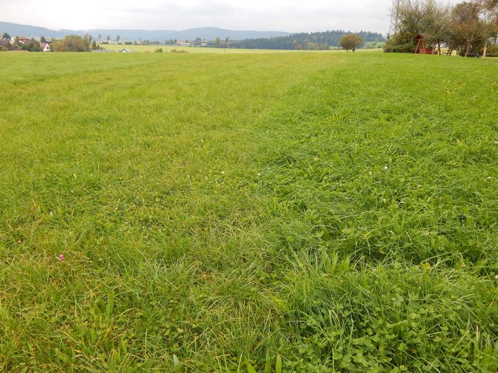 [175810922387734_1.jpg]