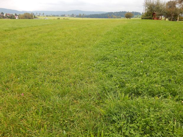 [175810922387734_7.jpg]