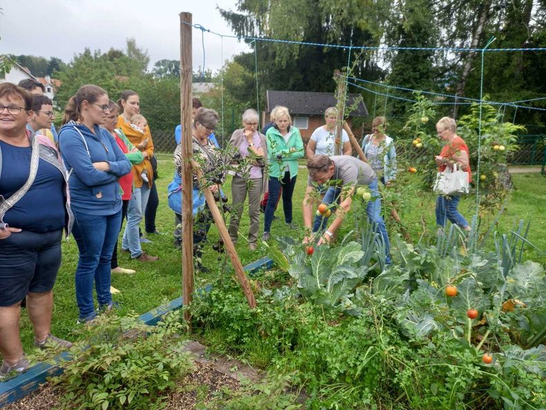 Wintergemüse11 2025 09 11 (c)Helga Leichtfried.jpg Wintergemüse11 2025 09 11 (c)Helga Leichtfried.jpg