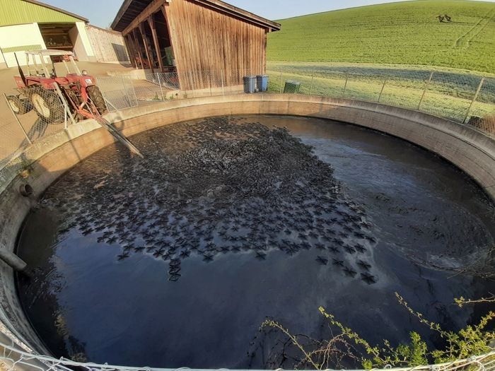 [1758184752944526_1.jpg]