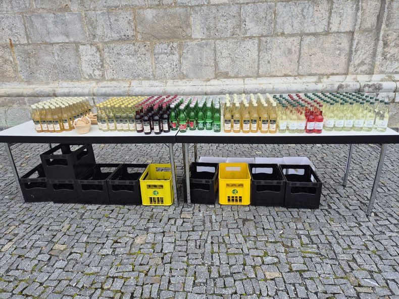 Bauernbundwallfahrt 2025 © Die Bäuerinnen NÖ/Christine Habertheuer