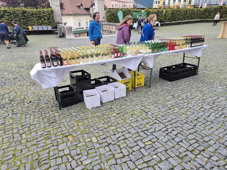 Bauernbundwallfahrt 2025 © Die Bäuerinnen NÖ/Christine Habertheuer