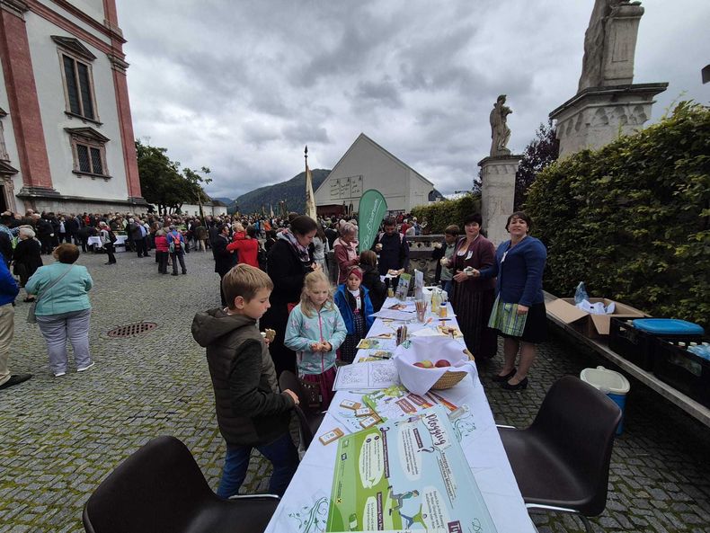 Bauernbundwallfahrt 2025 © Die Bäuerinnen NÖ/Christine Habertheuer