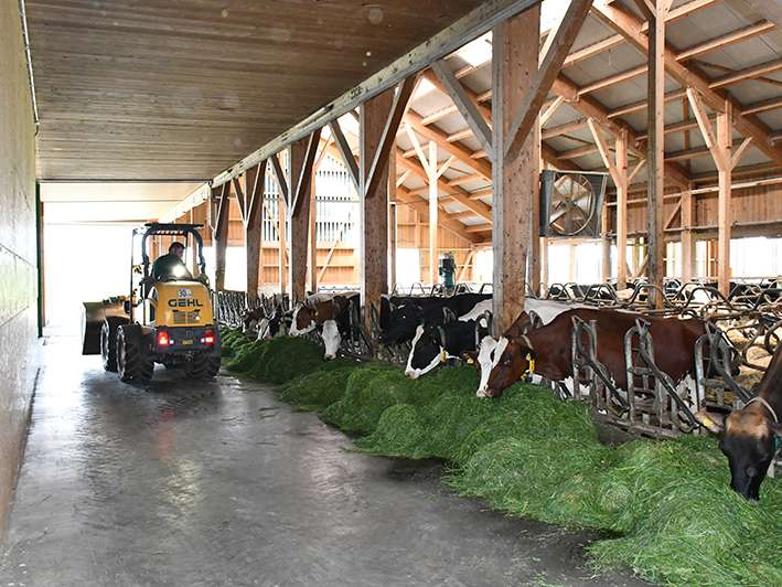 Umbau Stall Heim.jpg © LK Vbg. Umbau Stall Heim.jpg © LK Vbg.