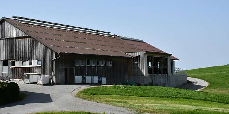 Umbau Stall Heim.jpg © LK Vbg. Umbau Stall Heim.jpg © LK Vbg.