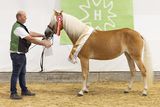 KAT_48_Mia-W_Wenzl.jpg © Viktoria Hainzl