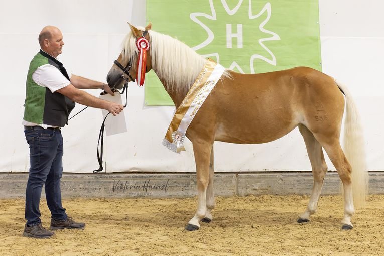 KAT_48_Mia-W_Wenzl.jpg © Viktoria Hainzl