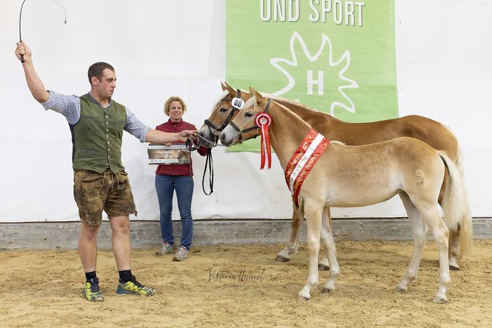 [1758273693945557_1.jpg]