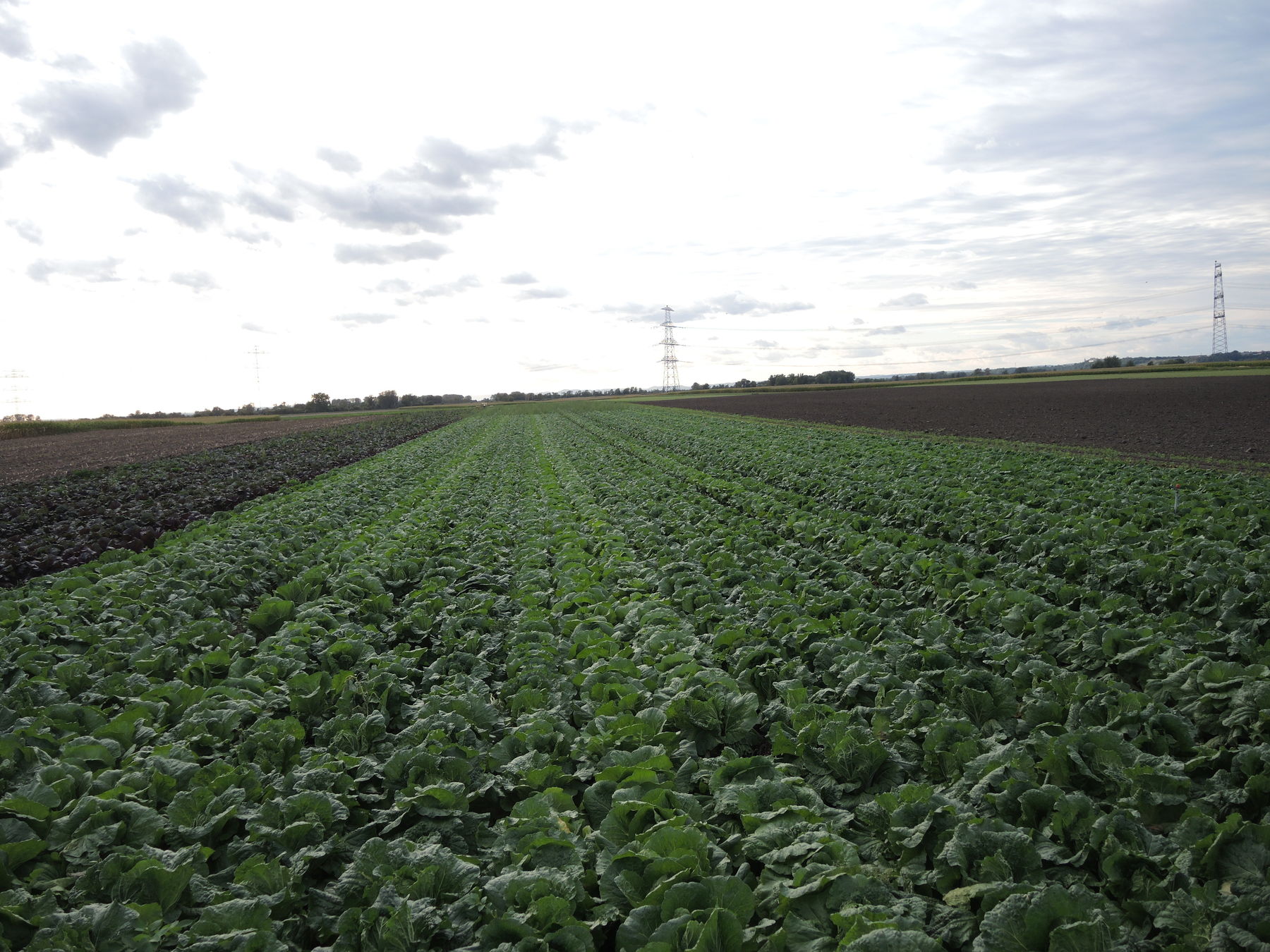 © BBK Korneuburg © BBK Korneuburg