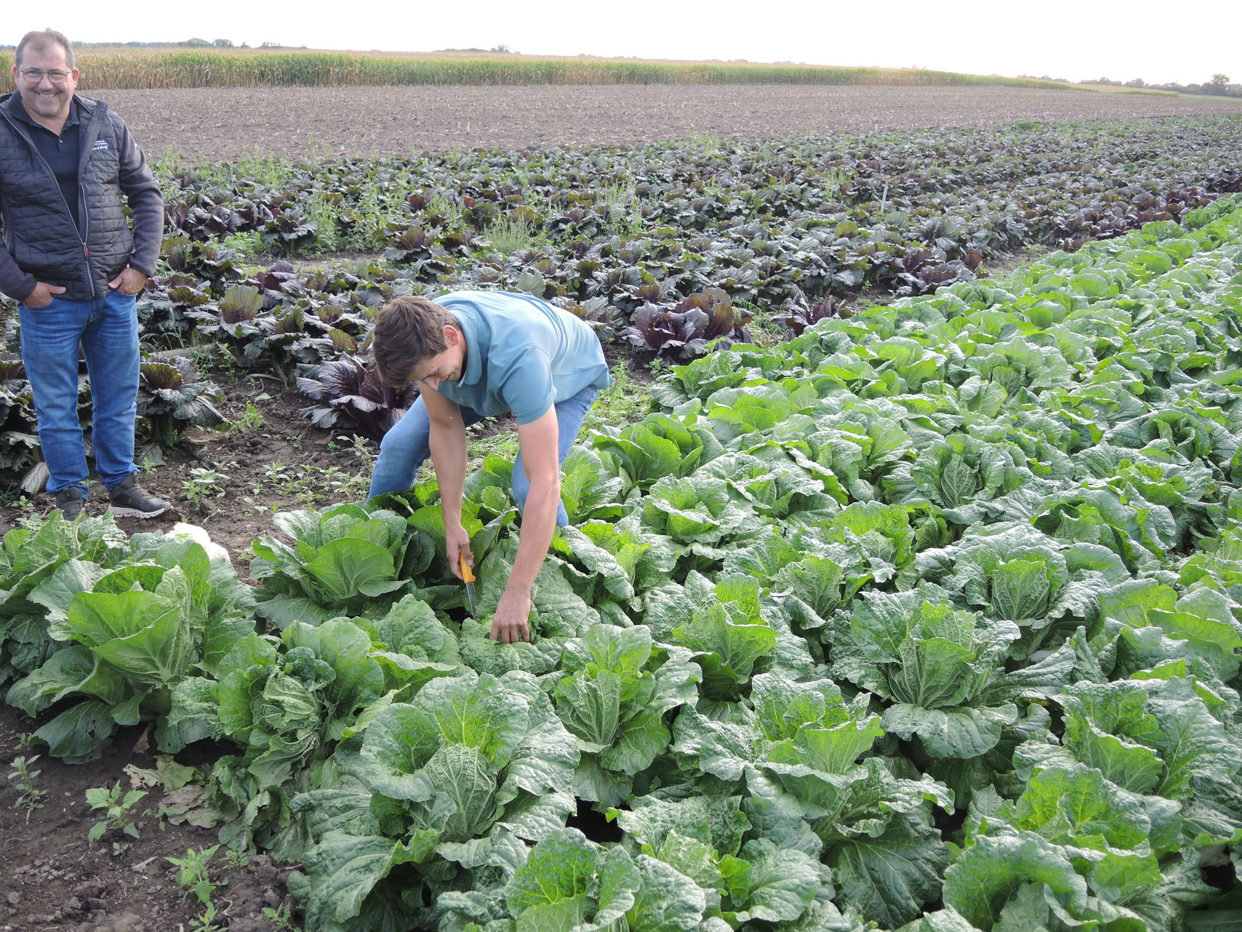 © BBK Korneuburg © BBK Korneuburg