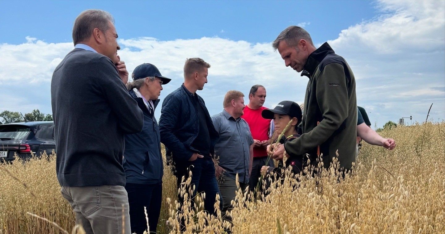 Beurteilung der Haferqualität mit Kollegen aus dem BIO Haferprojekt.jpg © LK OÖ/Gerstl