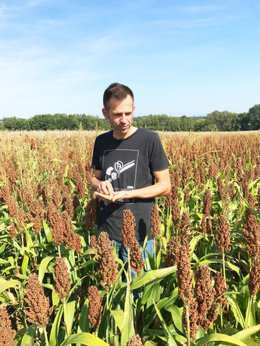Thomas Rpitmeier im Versuchsfeld der Sorghumhirse b.jpg © LK OÖ/Gerstl