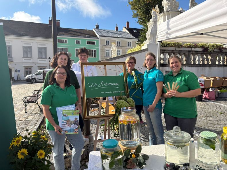 WhatsApp Image 2025-09-06 at 09.16.15(1).jpg WhatsApp Image 2025-09-06 at 09.16.15(1).jpg