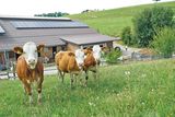 Aussiedlerhof mit Willenskraft und viel Ausdauer realisiert .jpg © Hatheier