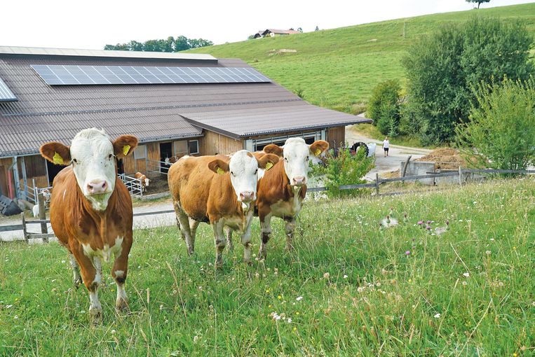 Aussiedlerhof mit Willenskraft und viel Ausdauer realisiert .jpg © Hatheier Aussiedlerhof mit Willenskraft und viel Ausdauer realisiert .jpg © Hatheier