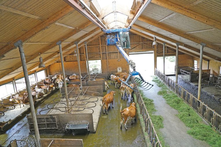 Aussiedlerhof mit Willenskraft und viel Ausdauer realisiert .jpg © Hatheier Aussiedlerhof mit Willenskraft und viel Ausdauer realisiert .jpg © Hatheier