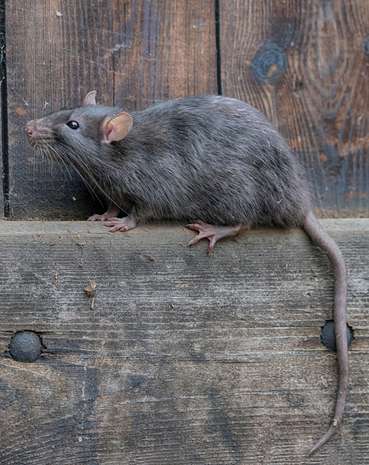 MAus_AdobeStock_325819848.jpg © stock.adobe.com