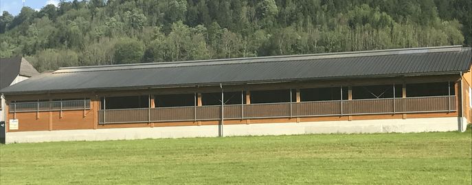 Neuer Stall@HBLFA Raumberg-Gumpenstein © HBLFA Raumberg-Gumpenstein
