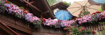 1. Platz Schneiderhof Seeboden (2).jpg © Fördergemeinschaft Garten 1. Platz Schneiderhof Seeboden (2).jpg © Fördergemeinschaft Garten