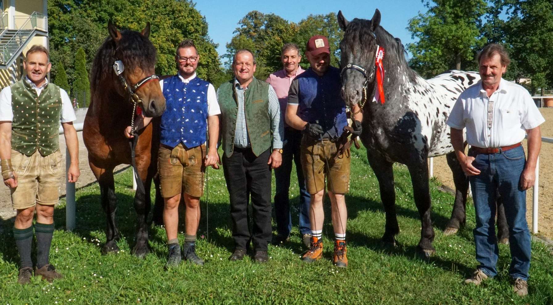 Hengstkörung.docx.jpg © Landes-Pferdezuchtverband Kärnten Hengstkörung.docx.jpg © Landes-Pferdezuchtverband Kärnten