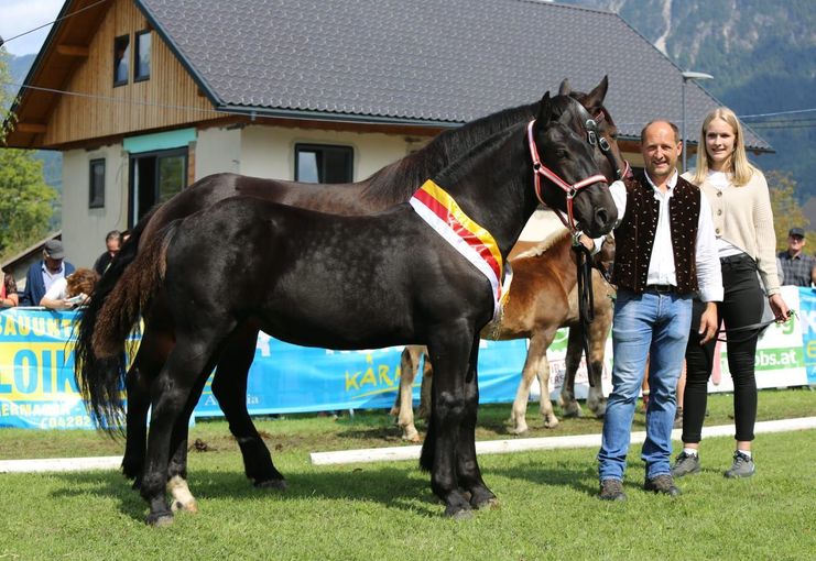 Landessiegerstutfohlen Schmuckbild.jpg © Selina Katnik Landessiegerstutfohlen Schmuckbild.jpg © Selina Katnik