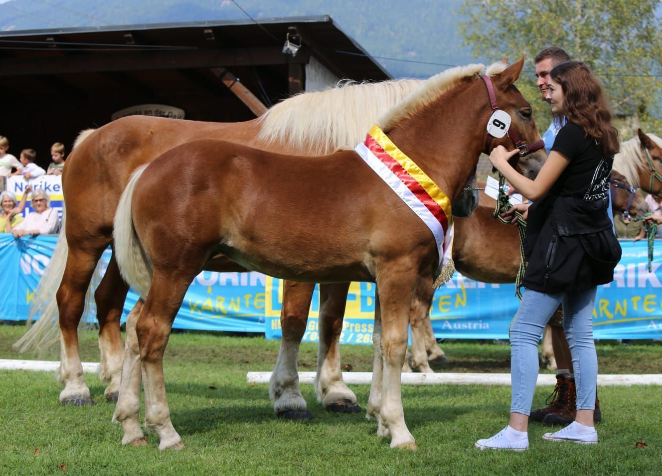 2. Landesreservesiegerstutfohlen.jpg © Selina Katnik 2. Landesreservesiegerstutfohlen.jpg © Selina Katnik