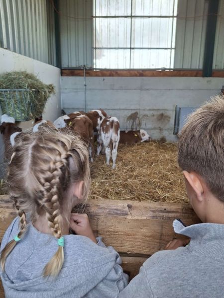 Landwirtschaftliche Tiere zum Anfassen für die Kinder ein absolutes Highlight.jpg