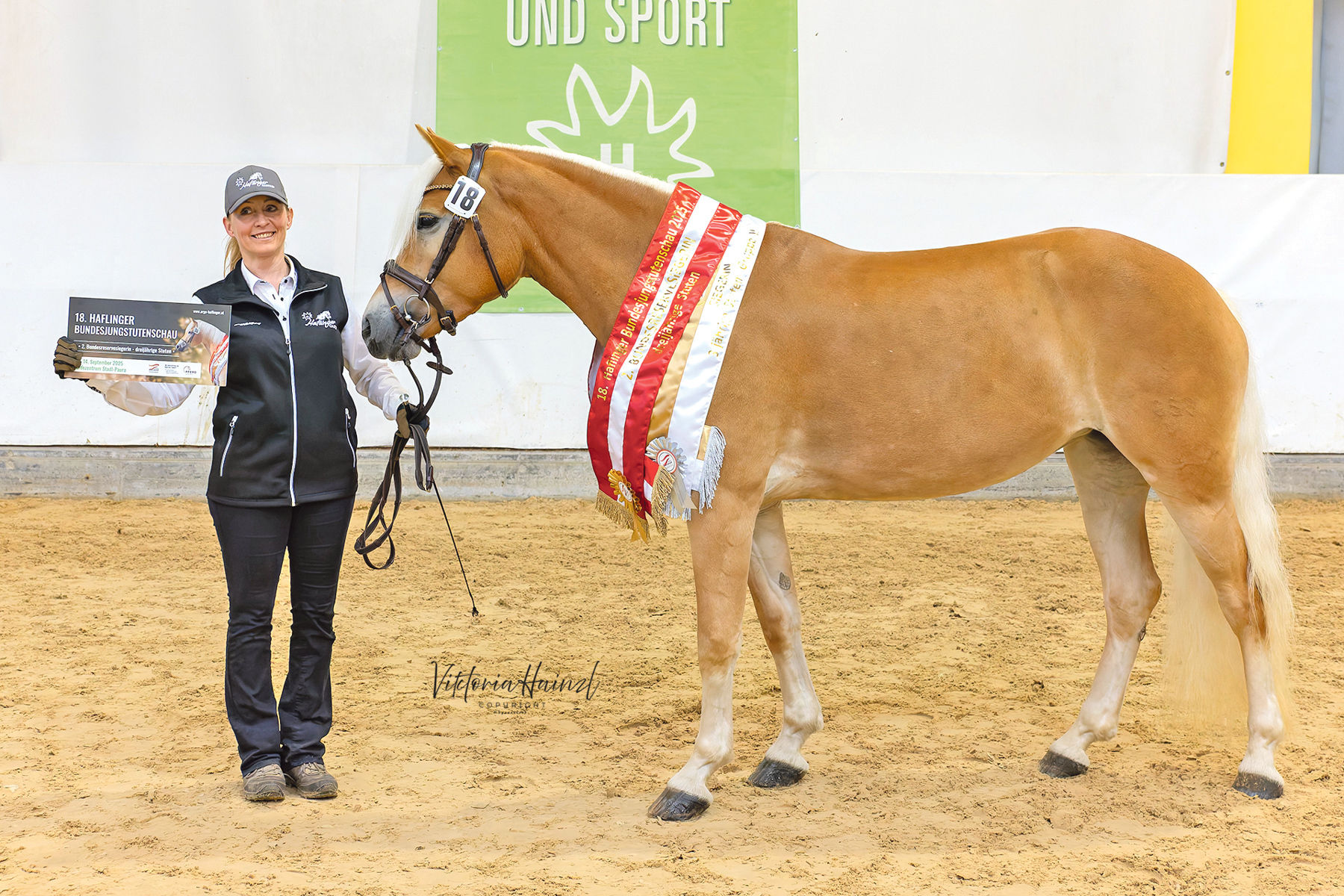 Die Haflinger aus Salzburg strahlen beim Bundeschampionat.jpg © LPZV Salzburg