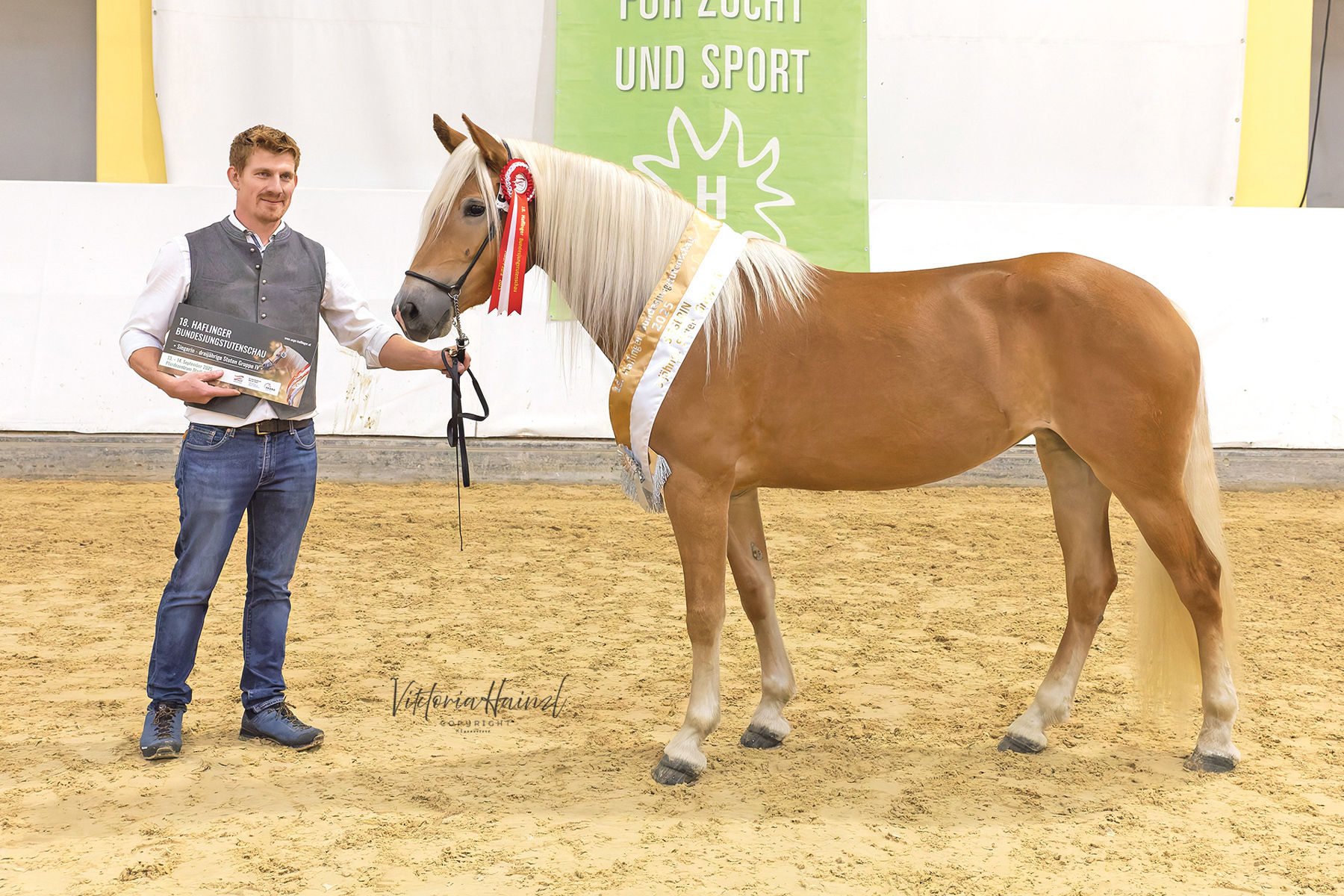 Die Haflinger aus Salzburg strahlen beim Bundeschampionat.jpg © LPZV Salzburg