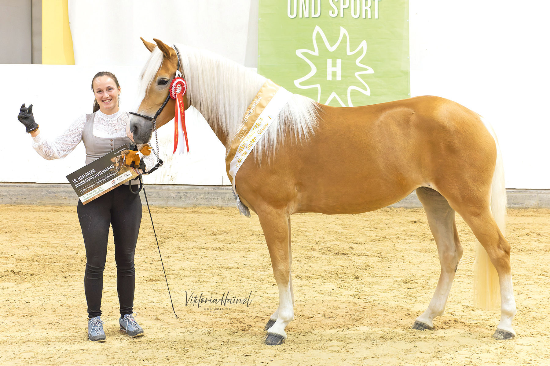 Die Haflinger aus Salzburg strahlen beim Bundeschampionat.jpg © LPZV Salzburg