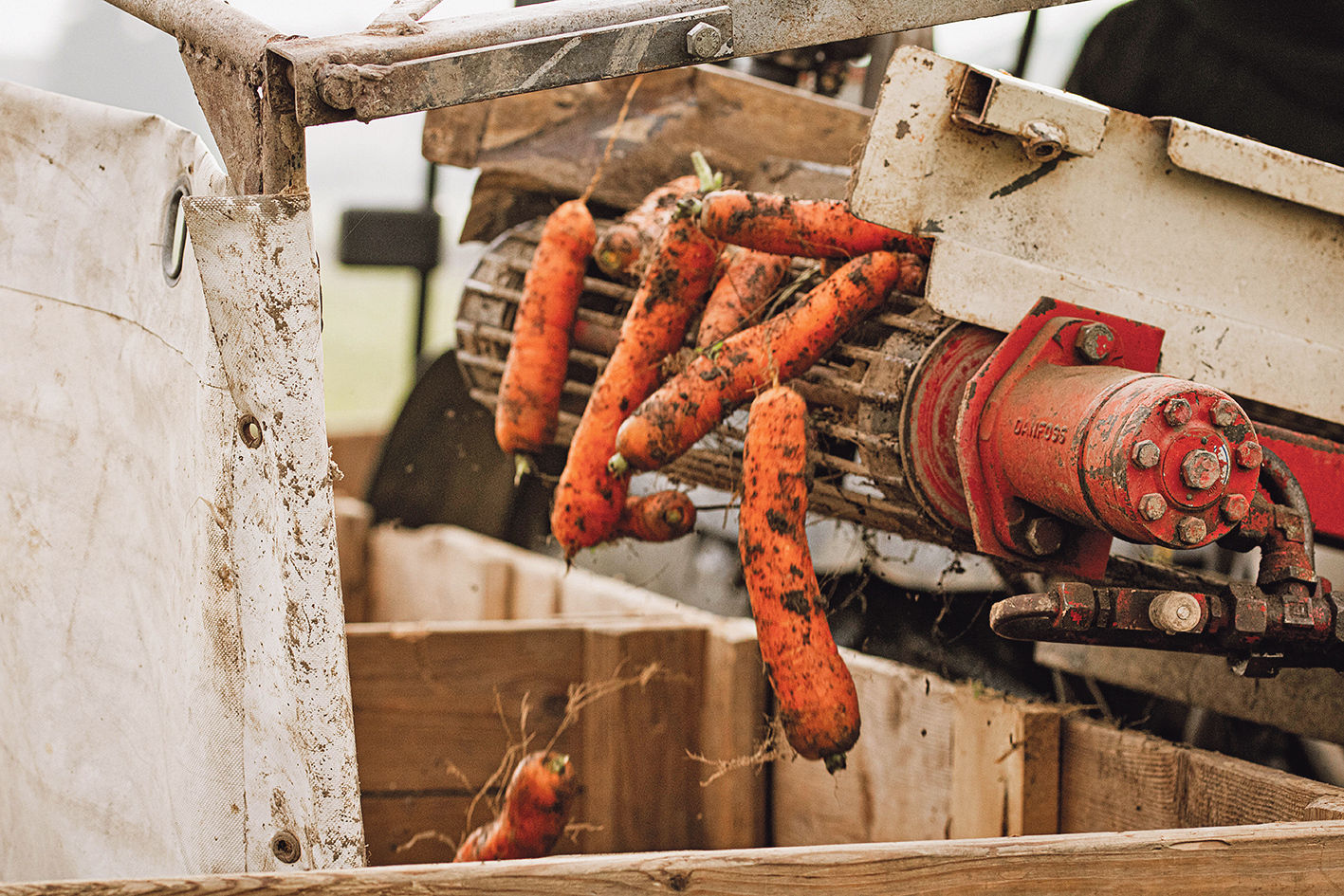 Wir produzieren im Kreislauf und mit der Natur .jpg © Hatheier Wir produzieren im Kreislauf und mit der Natur .jpg © Hatheier