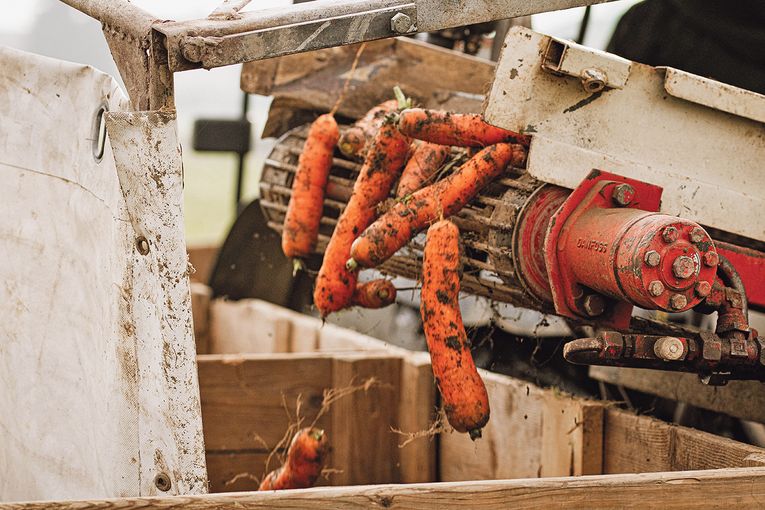 Wir produzieren im Kreislauf und mit der Natur .jpg © Hatheier Wir produzieren im Kreislauf und mit der Natur .jpg © Hatheier
