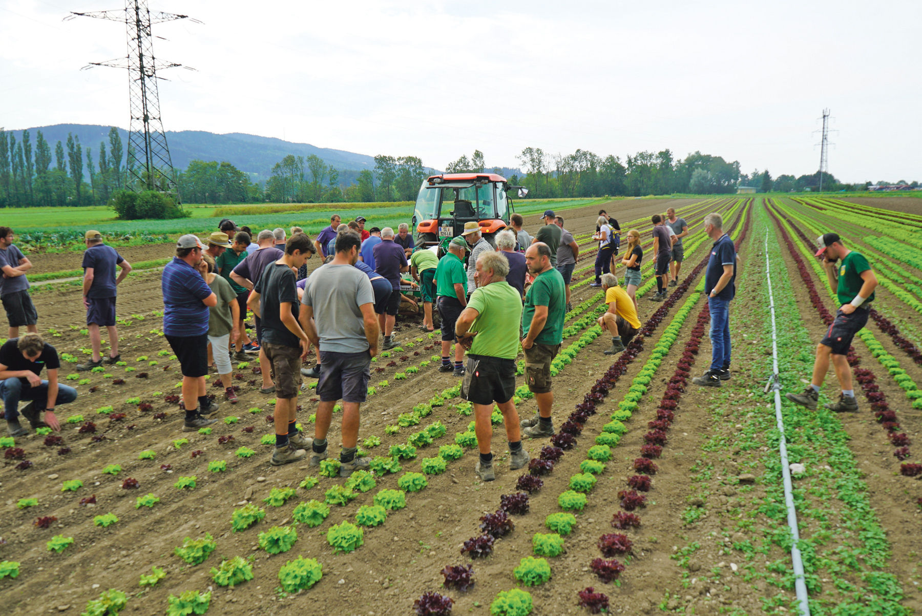 Wir produzieren im Kreislauf und mit der Natur .jpg © Hatheier Wir produzieren im Kreislauf und mit der Natur .jpg © Hatheier