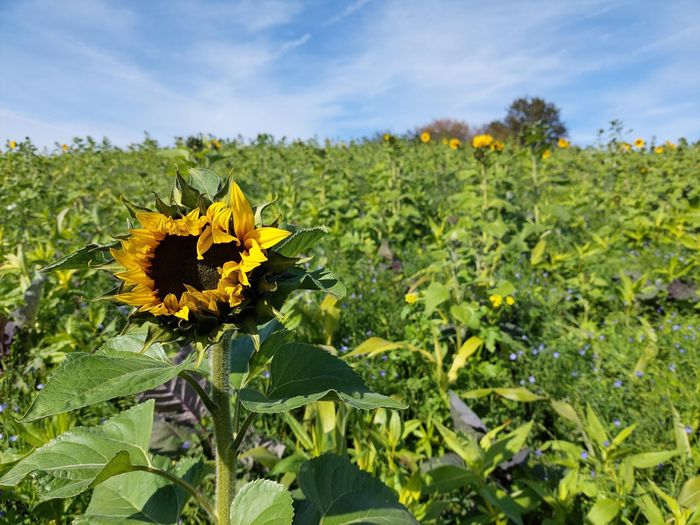 [1758799864401615_1.jpg]