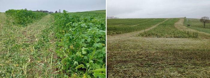 [1758800006984433_1.jpg]