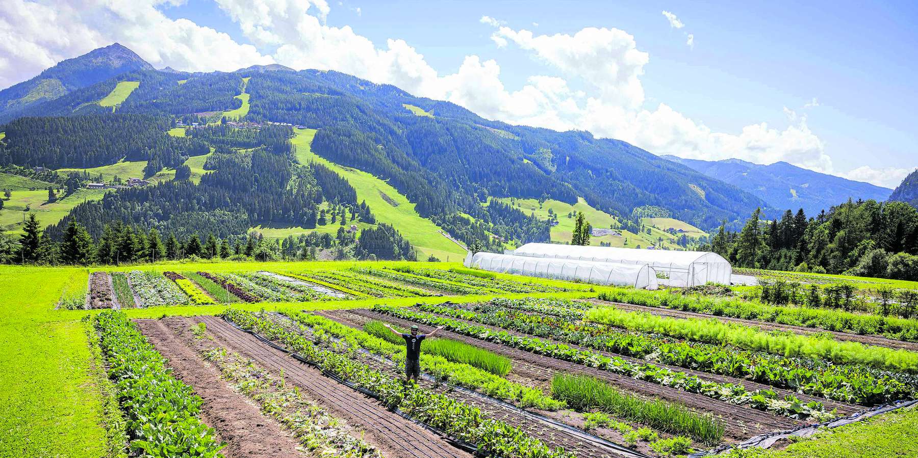 Makrtgärtnerei © Netzwerk Kulinarik