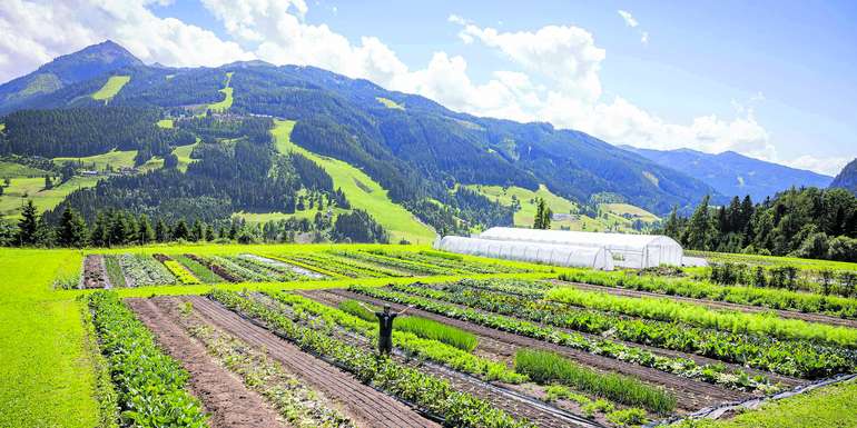 Makrtgärtnerei © Netzwerk Kulinarik
