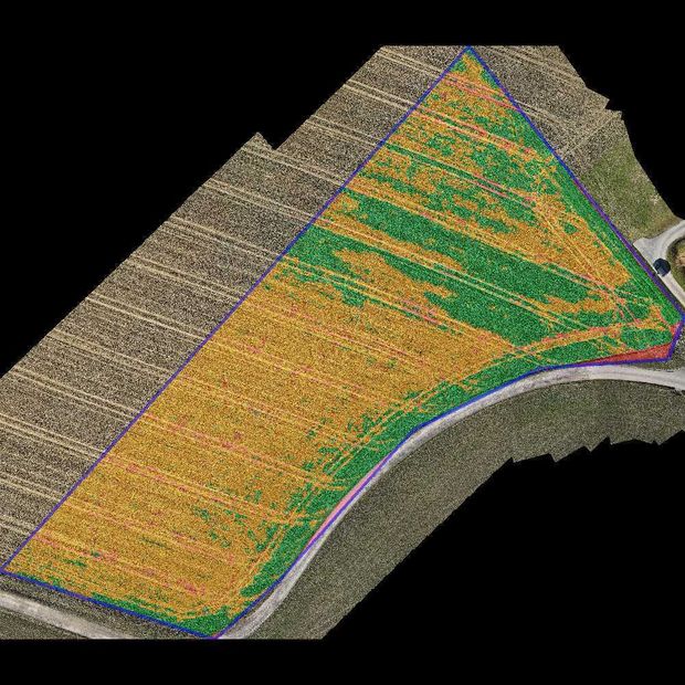 [175912535820784_7.jpg]