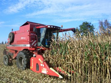Bild 4_Maisdreschen (1).jpg © BSH/Strasser