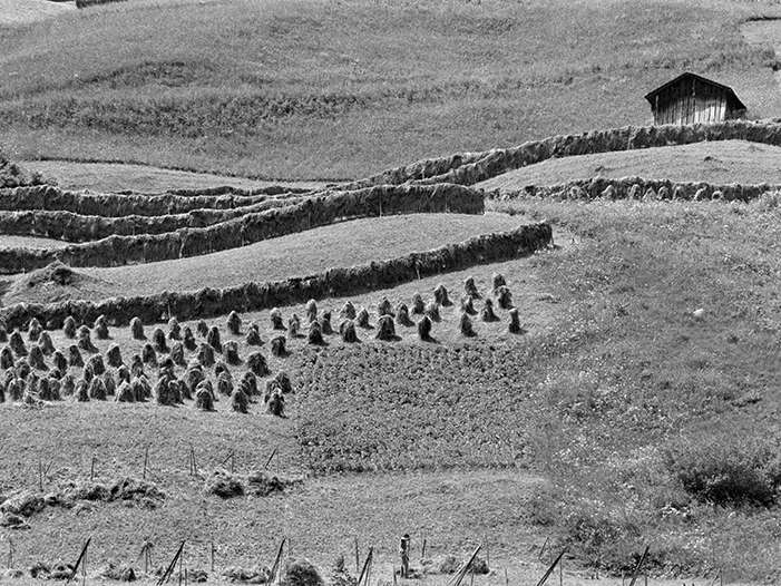 Landwirtschaft früher.jpg © Rudolf Zündel (Vorarlberger Nachrichten), Vorarlberger Landesbibliothek