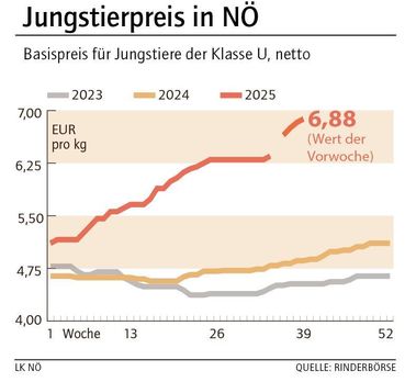 Grafik Stierpreis 40_2025.jpg © LK NÖ