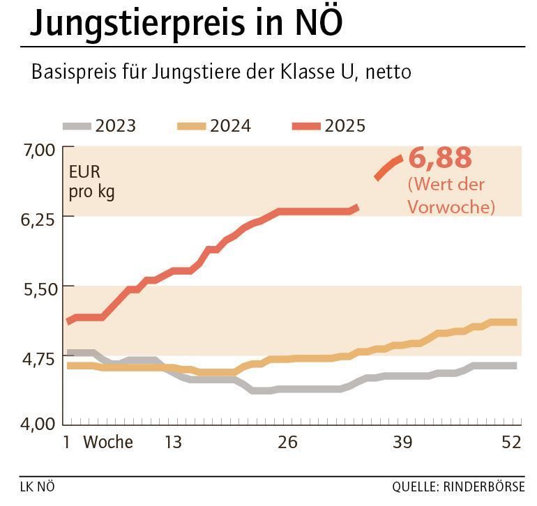 Grafik Stierpreis 40_2025.jpg © LK NÖ