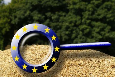 EU.jpg © stock.adobe.com