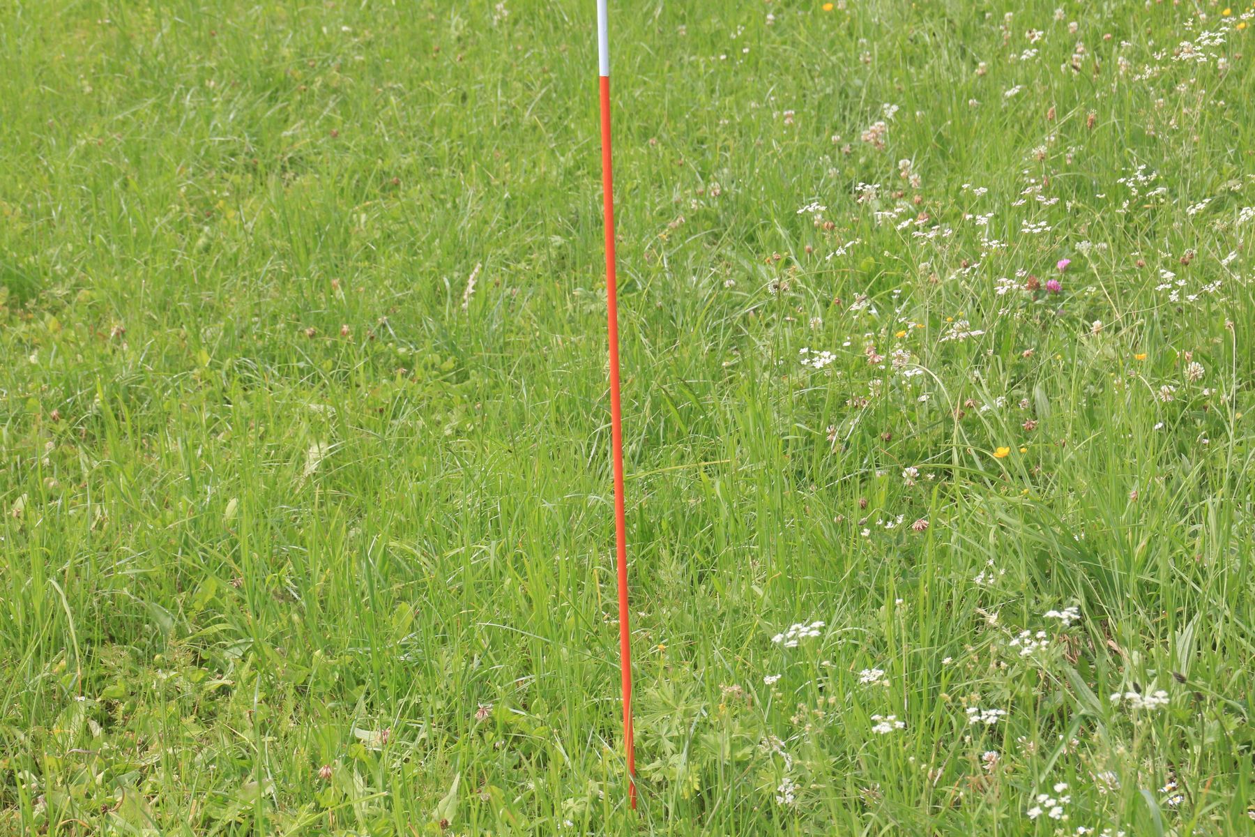 IMG_0147.jpg © LK Kärnten/Hans Egger