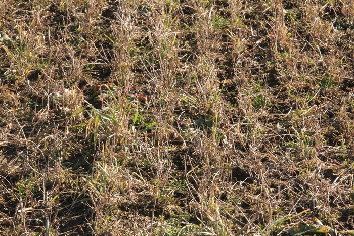 [1759313138621_1.jpg]