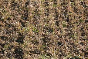 [1759313138621_5.jpg]