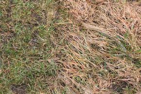 [1759313143455470_5.jpg]